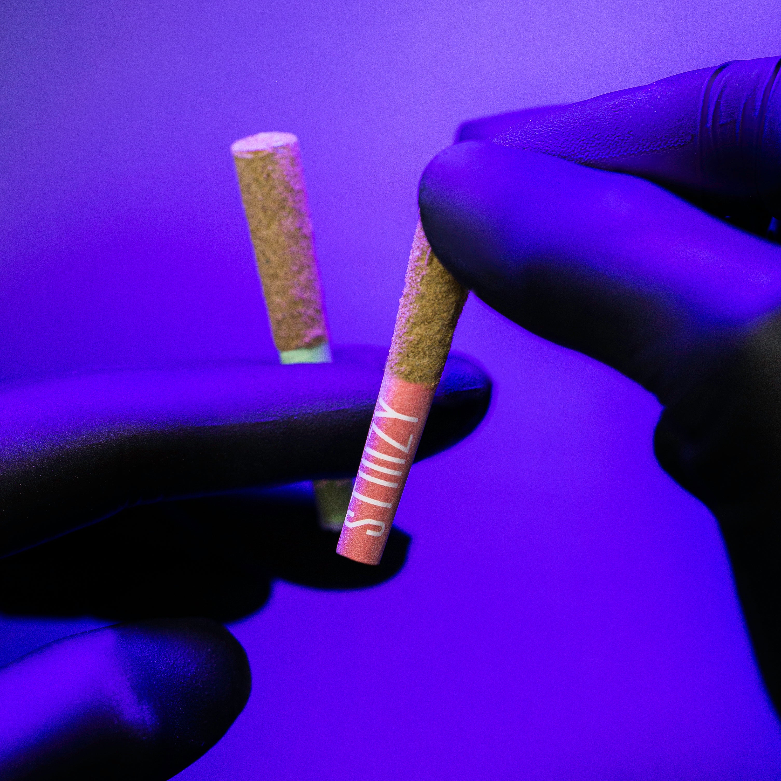 Two infused cannabis pre-rolls are being held up against a purple background by someone wearing purple gloves.