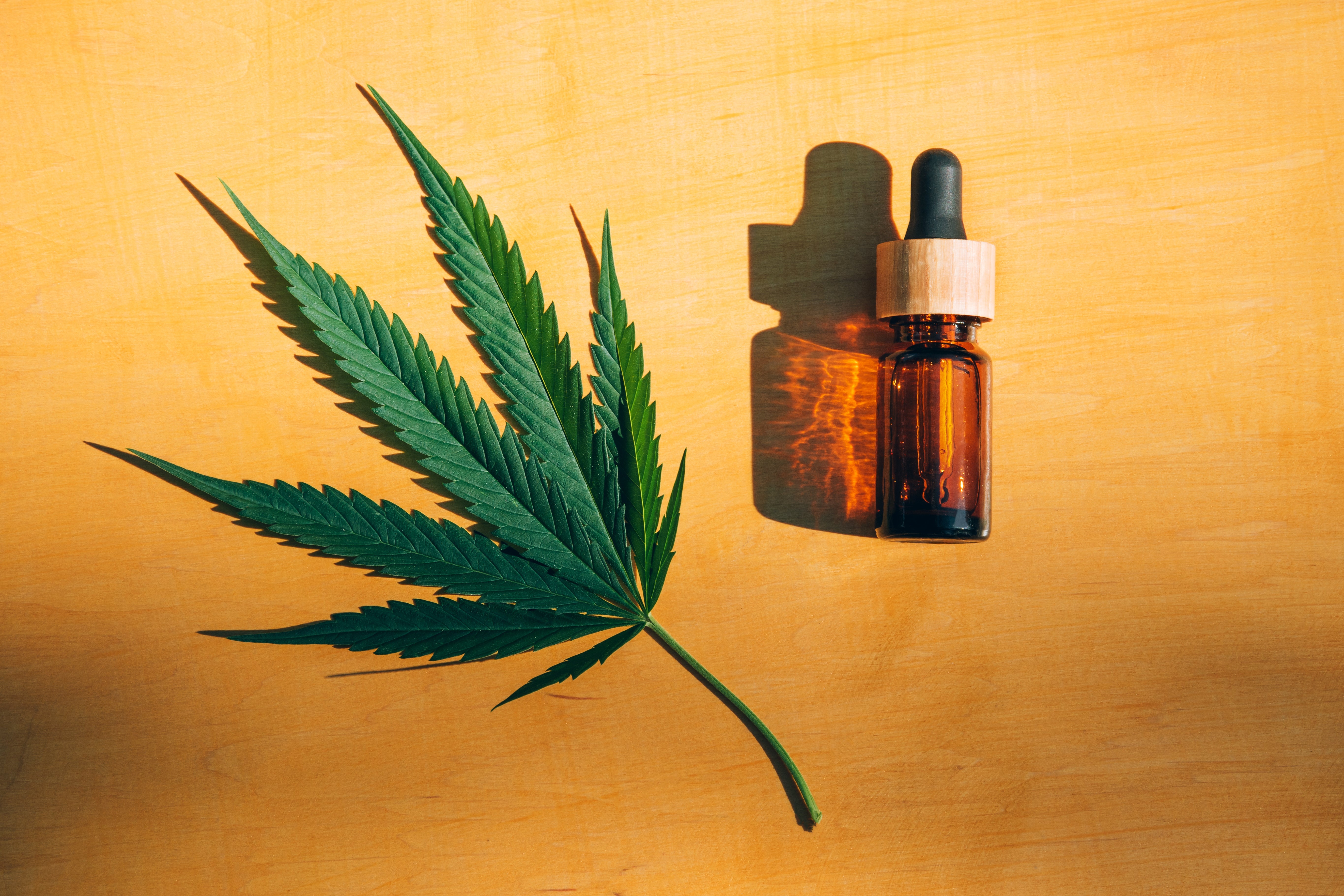 A vial of cannabis oil lies next to a cannabis flower leaf on a wooden surface.