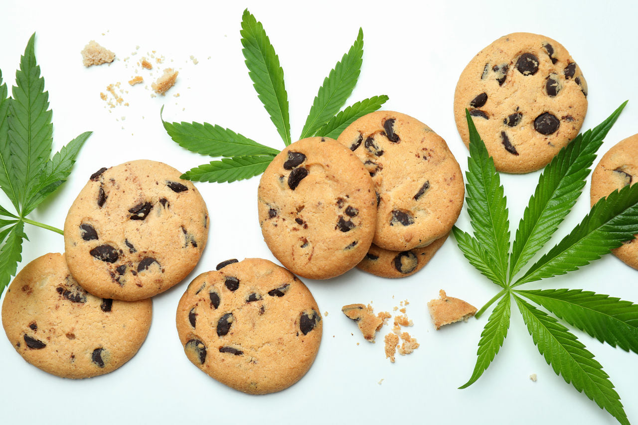 8 weed edibles in the form of chocolate-chip cookies are grouped next to cannabis leaves.