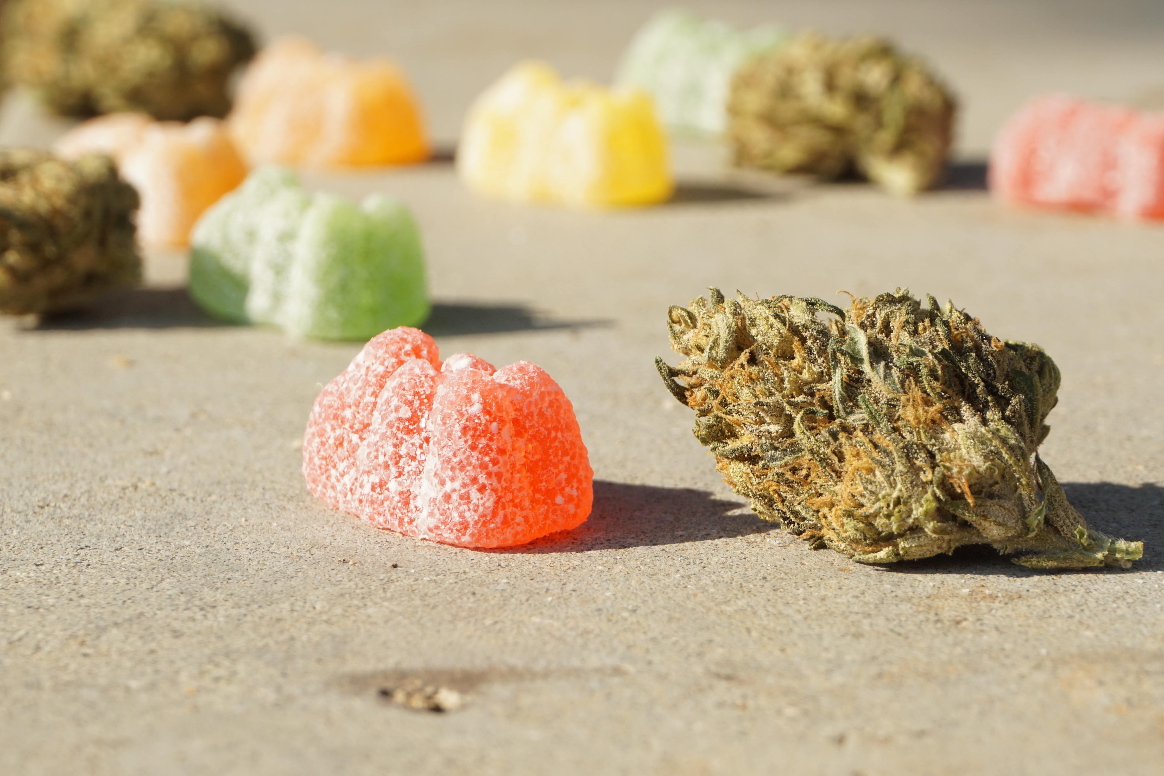 A collection of cannabis gummies sits next to cannabis flower buds.