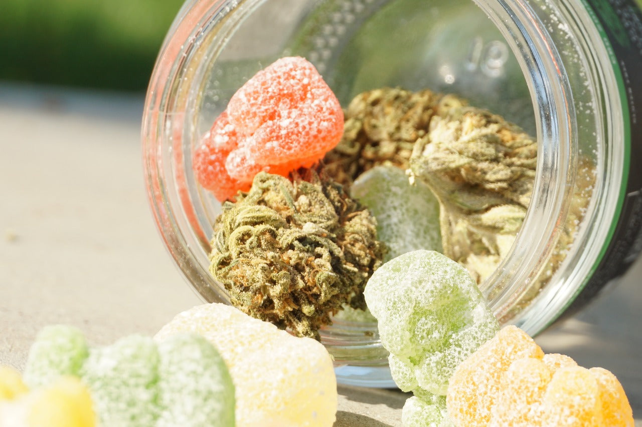Weed gummies made from premium cannabis flower spill out of a glass jar alongside nugs.