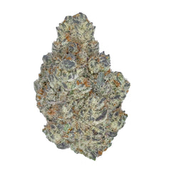 A nug of cannabis flower from the White Durban weed strain sits against a white background.