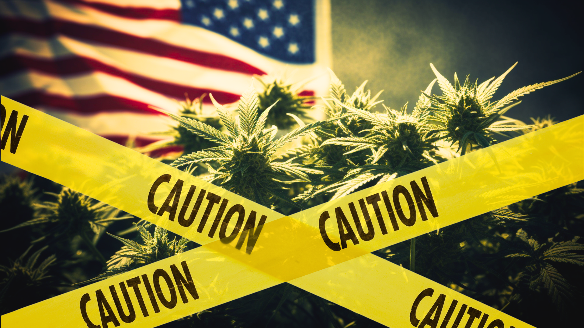 caution tape over cannabis in front of an American flag