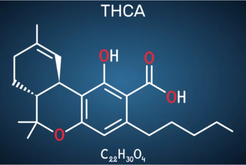 what is thca