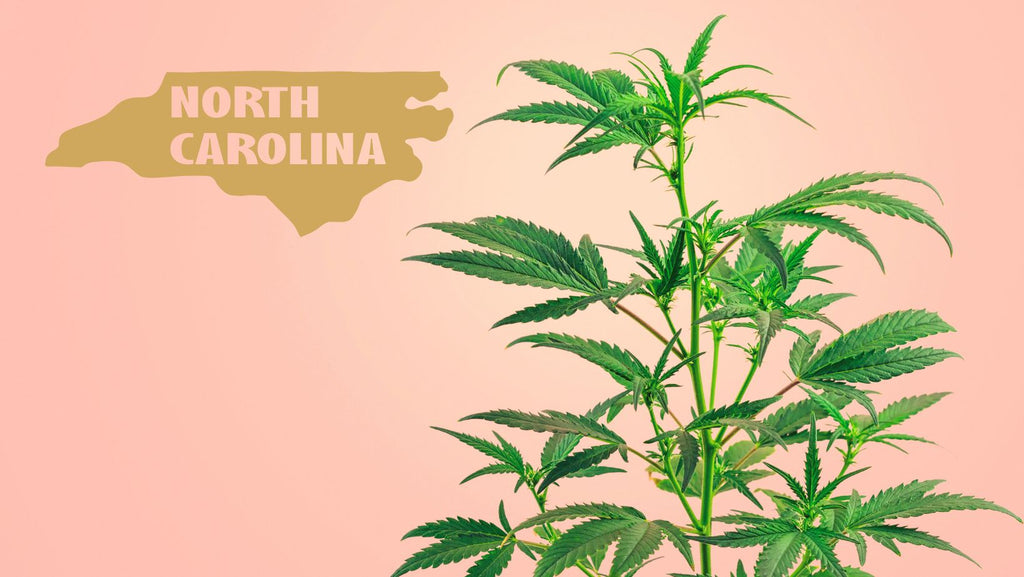 Is Delta 9 Legal in North Carolina