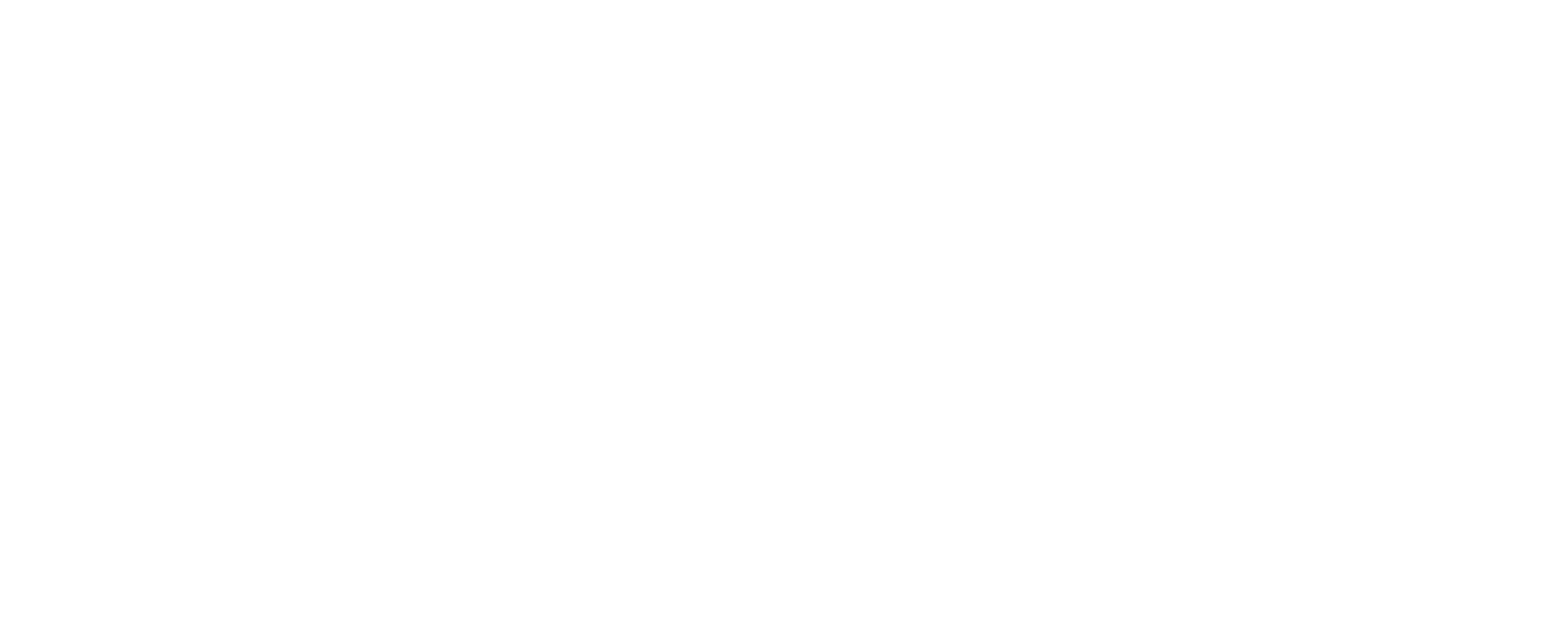 NIKIN Logo