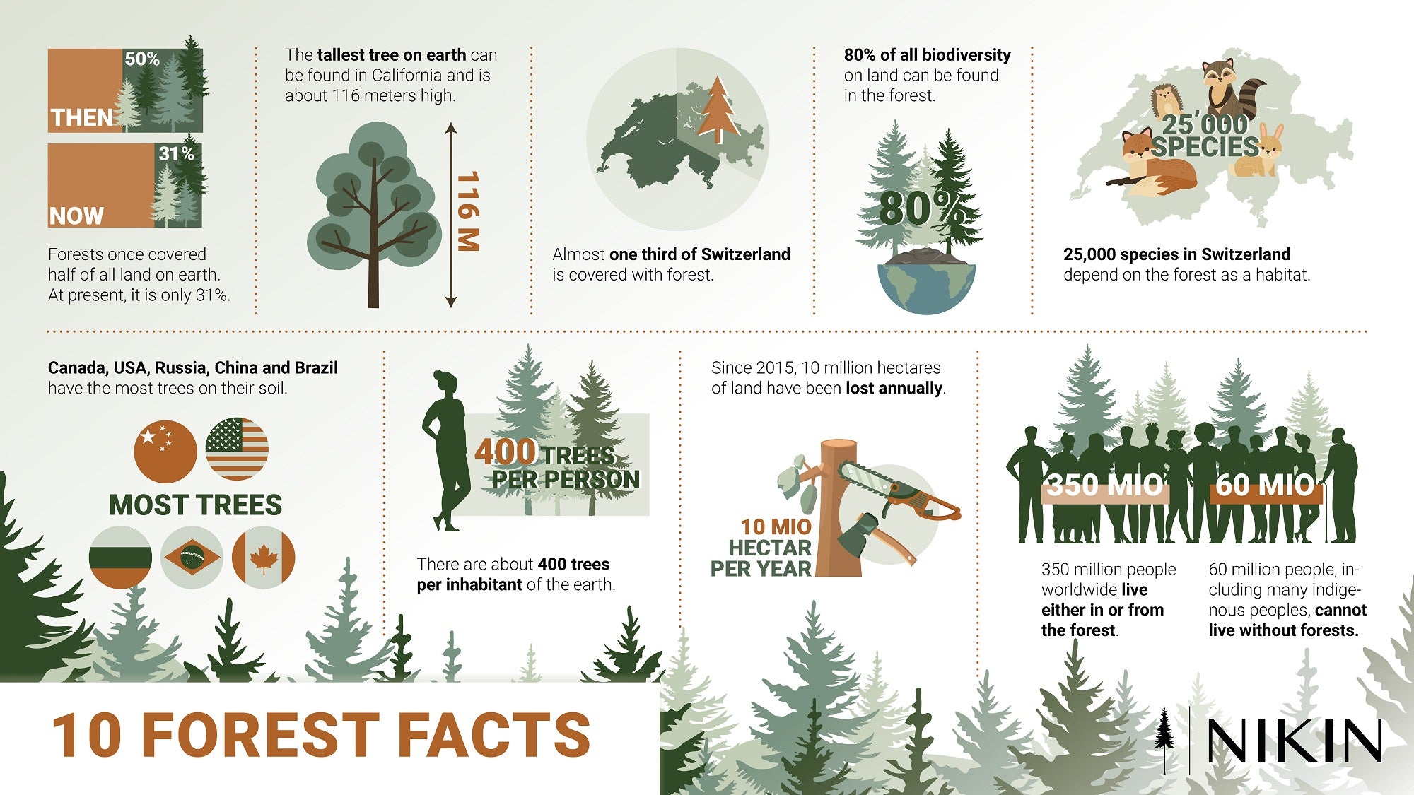 10 Forest Facts