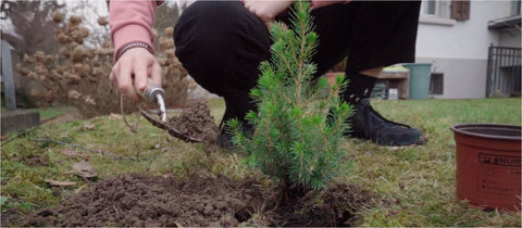 Online Tree Planting Day