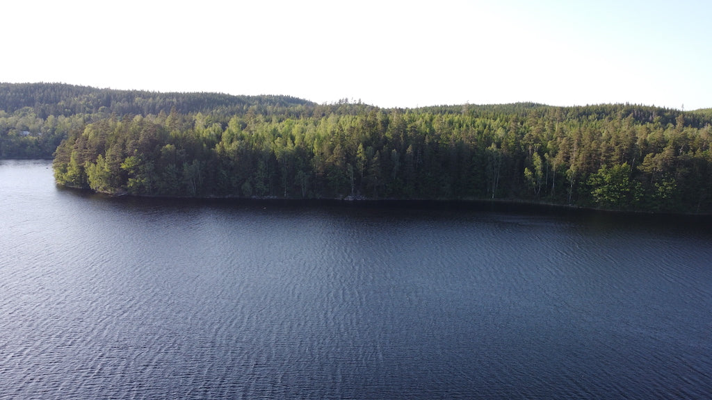 Ein Wald an einem See in Schweden