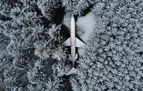 Airplane in the forest