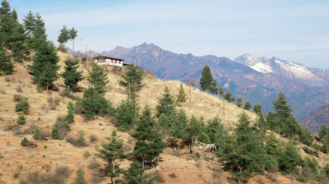 Bhutan Tree Planting