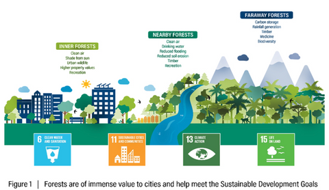 Cities4Forests