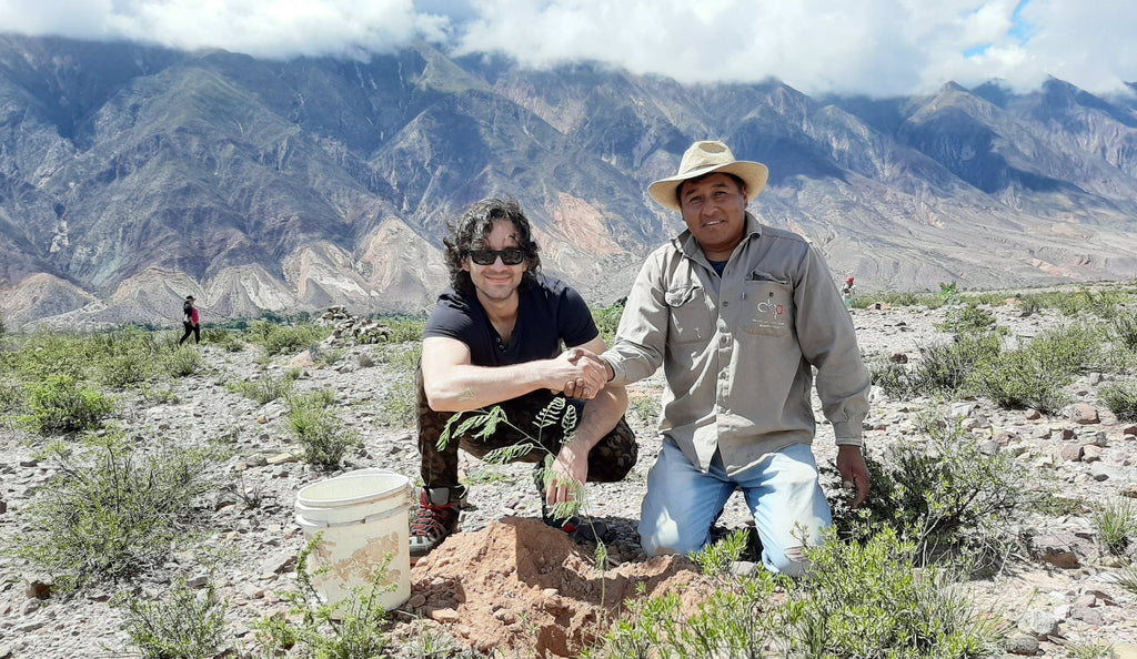 Tree plants in the Andes | NIKIN Blog