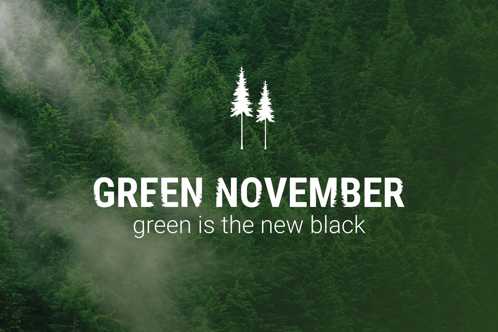 Green November Logo