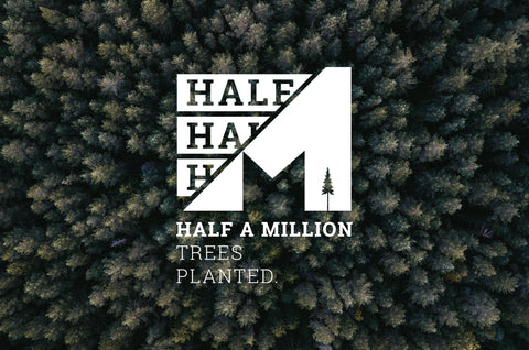Halbe Million gepflanzte Bäume