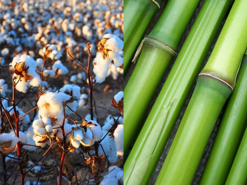 Coton biologique vs. bambou