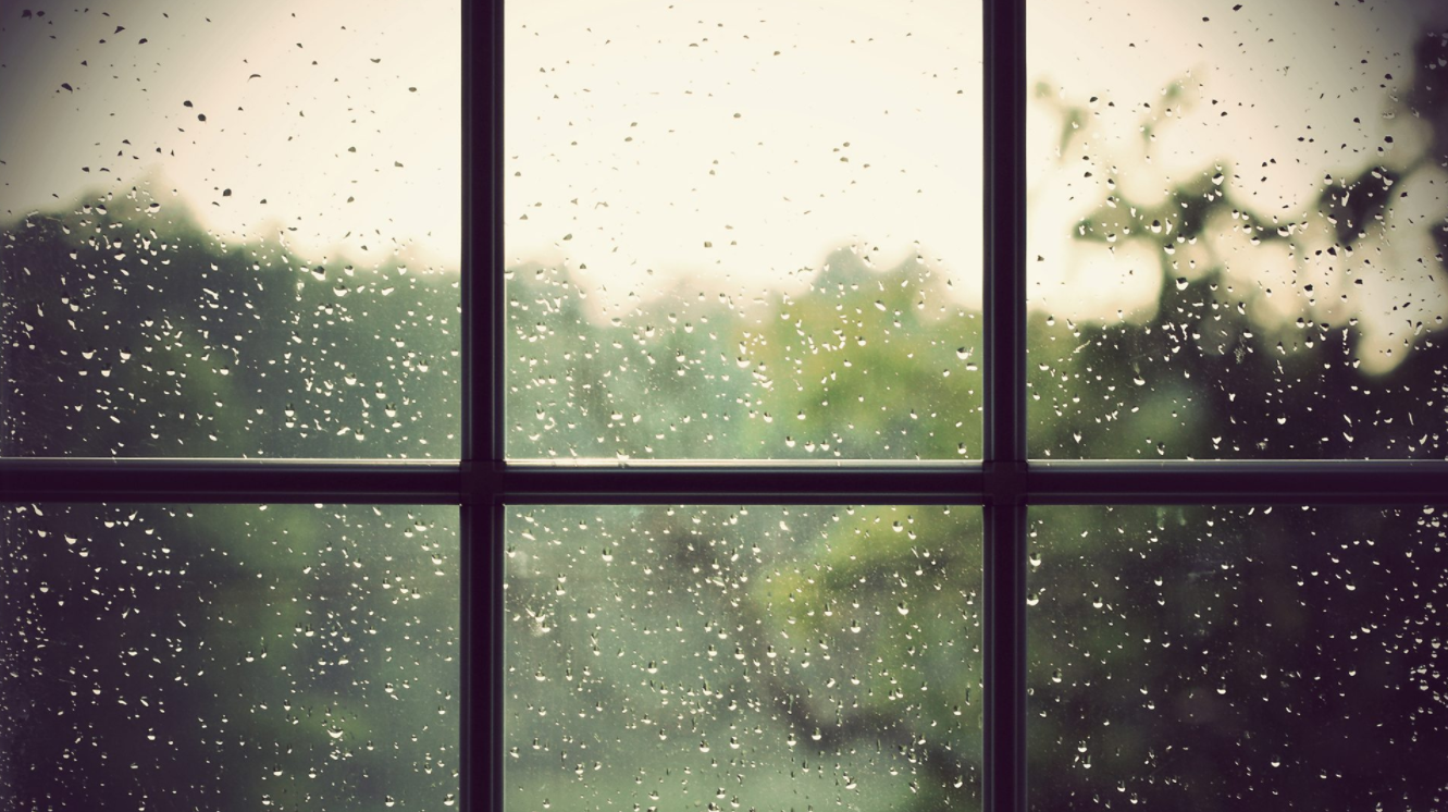 Rainy Window