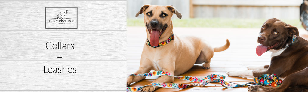 Designer Dog Collars & Leashes  Dog Accessories – LuckyLoveDog