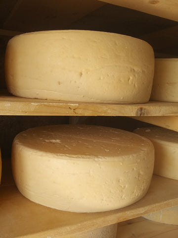 Raclette cheese aging on wooden planks