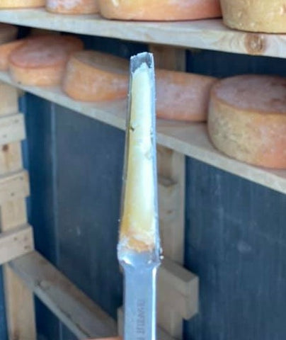 cheese testing during aging process