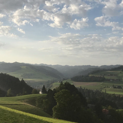 View in Emmental