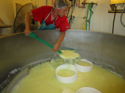 curds is pressed into forms