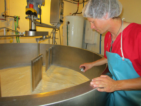 adding enzymes to milk to start the cheese making process