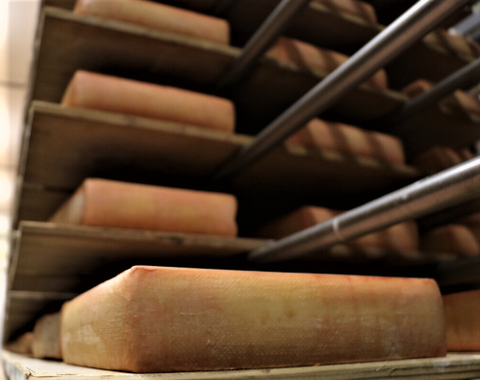 Kaeserei Oberli cheese in shelves aging