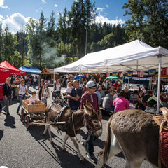 Raclette Festival in Valais