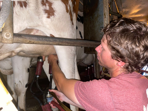 milking machine attached