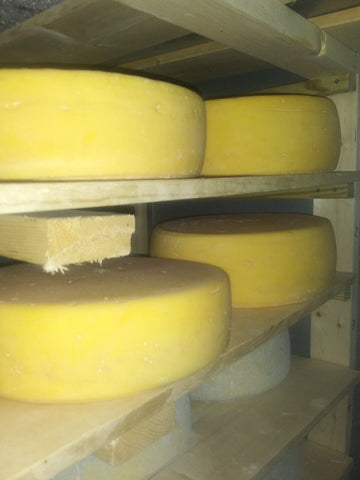Rind starts to form on the raclette cheese