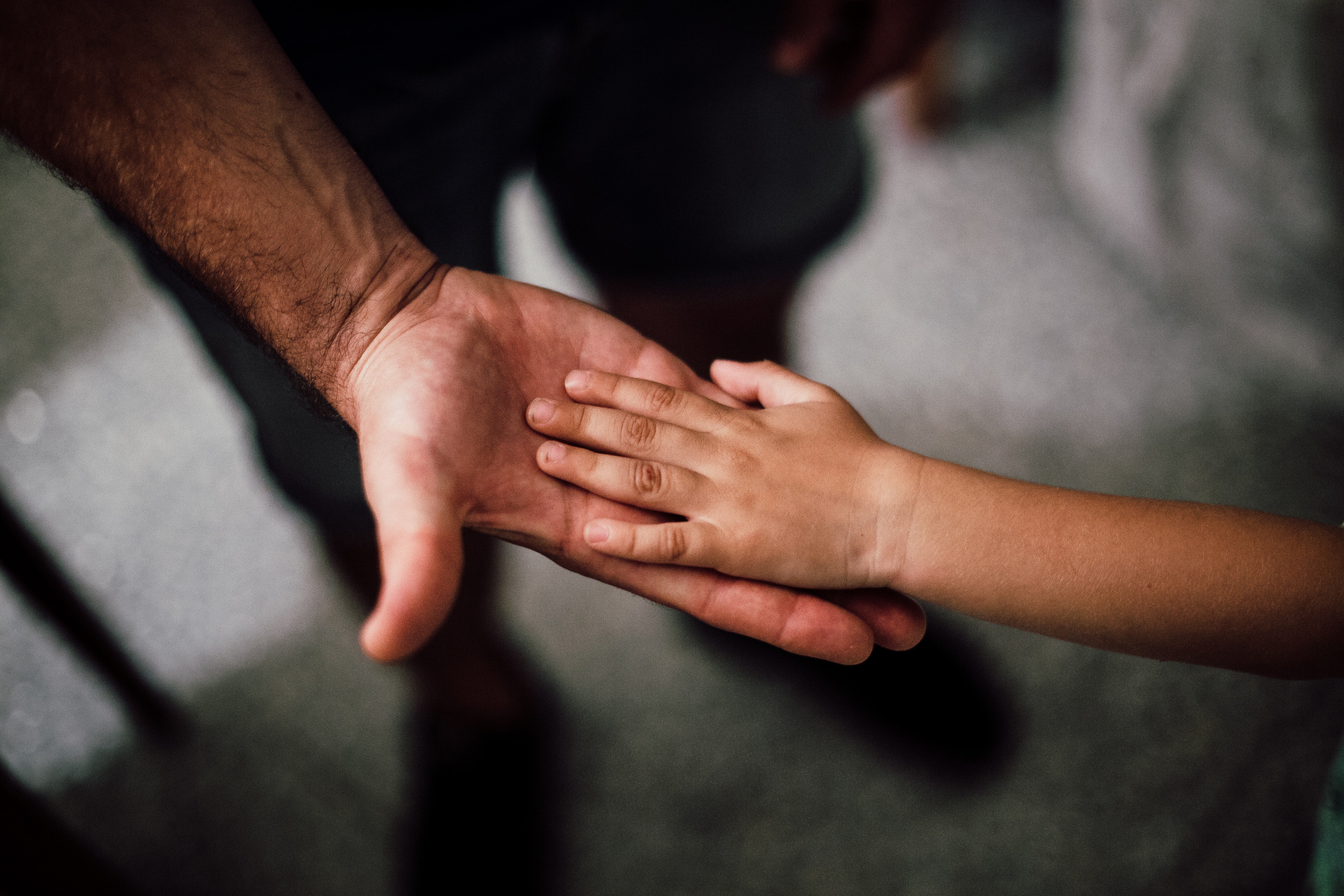 father and child's hands