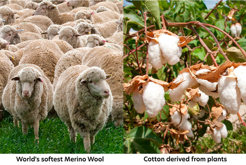 merino wool vs cotton