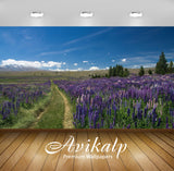 Avikalp Exclusive Awi6587 Trail Through The Lupine Field Nature Full HD Wallpapers for Living room,