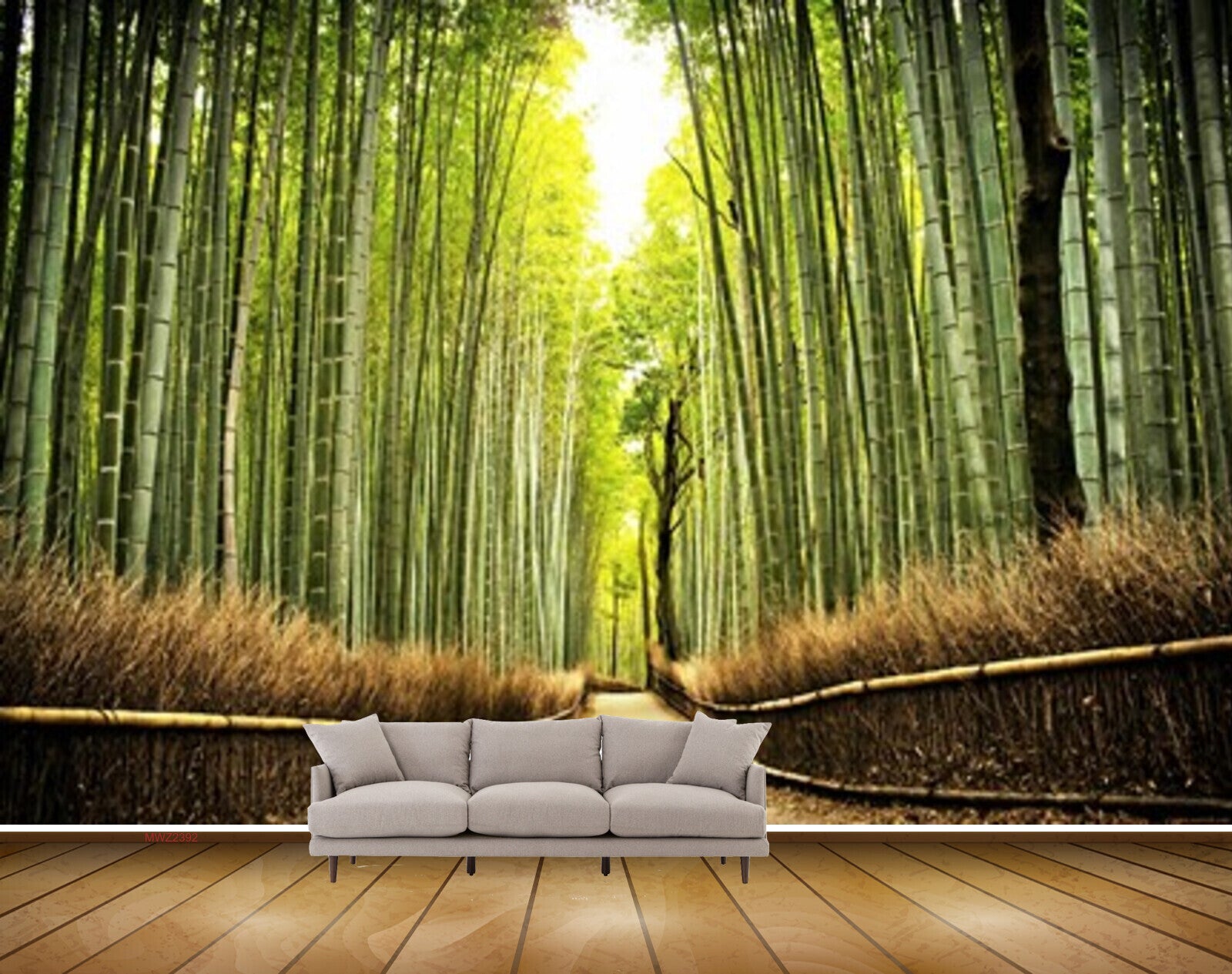 16800 Bamboo Forest Stock Photos Pictures  RoyaltyFree Images  iStock   Bamboo Bamboo shoot Bamboo background