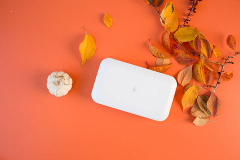PhoneSoap by a pumpkin and leaves