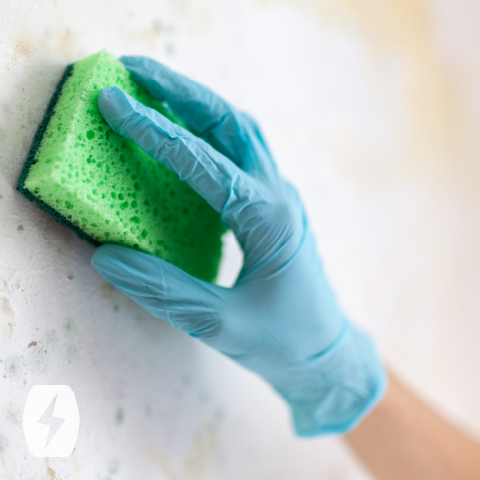 A gloved hand scrubbing a wall