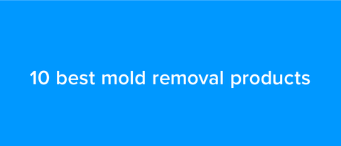 10 best mold removal products