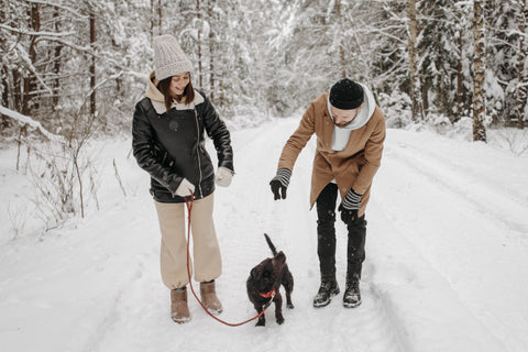 Couple in the snow with a dog
