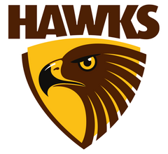 Hawthorn Hawks Jerseys & Teamwear, AFL Merch