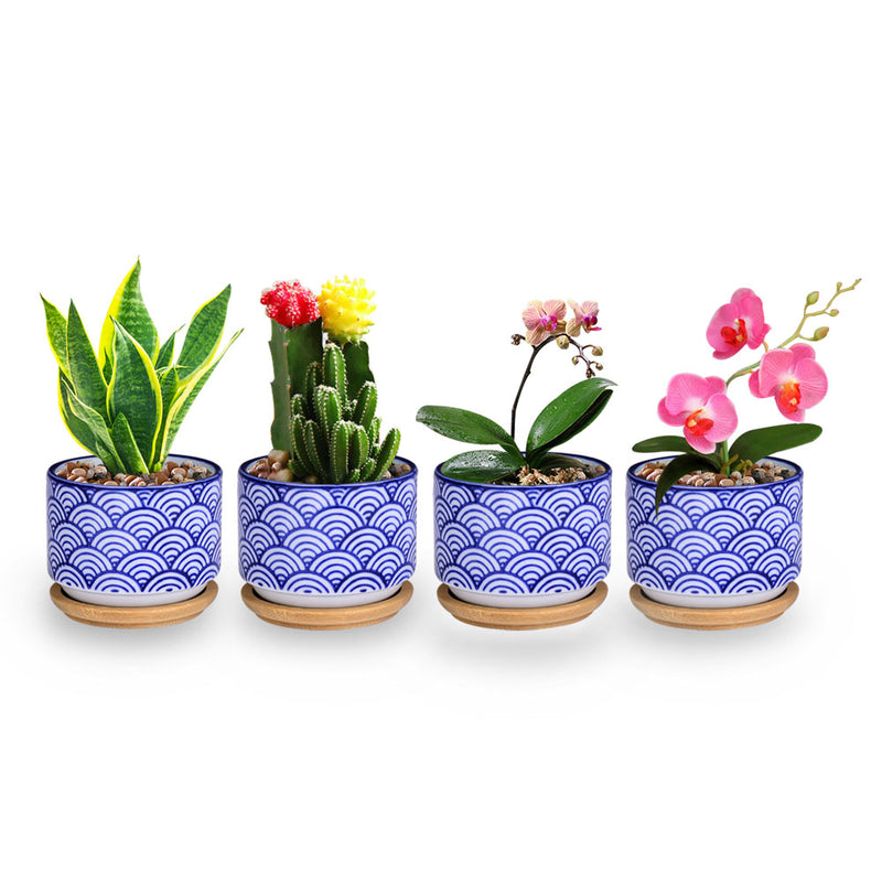 Featured image of post Small Glazed Ceramic Pots : You&#039;ll receive email and feed alerts when new items arrive.