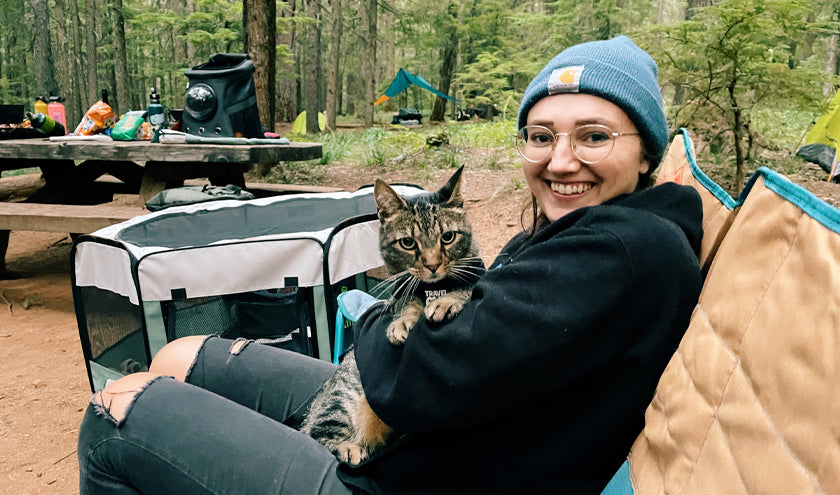 How to Take a Cat Camping: The Ultimate Guide.