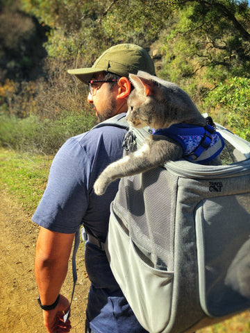 Man walking on sunny trail carries cat in backpack on his back