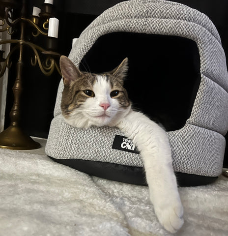 The Meowbile Home Cat Bed & Cave