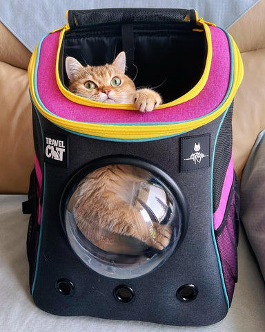 Astronaut Capsule Cat Backpack, Pink - Walmart.com