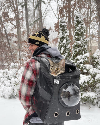 Cat in backpack with cat dad in the snowy forest