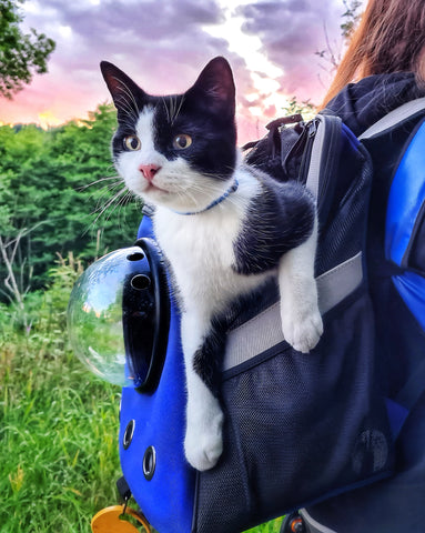 The Jackson Galaxy Backpack 