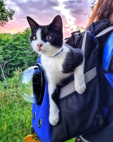 Under One Sky Cat Backpacks