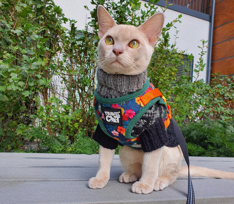 Hawaiian Cat Harness