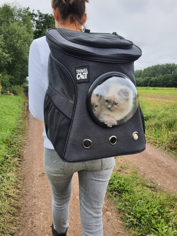 21 Cats from Around the World Going on Adventures in Travel Cat Gear f